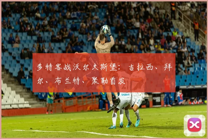多特客战沃尔夫斯堡：吉拉西、拜尔、布兰特、聚勒首发