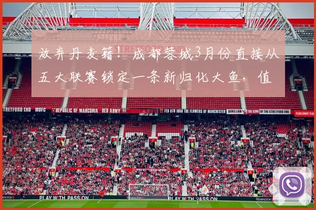 放弃丹麦籍！成都蓉城3月份直接从五大联赛锁定一条新归化大鱼，值得期待_杨明洋_国足_1