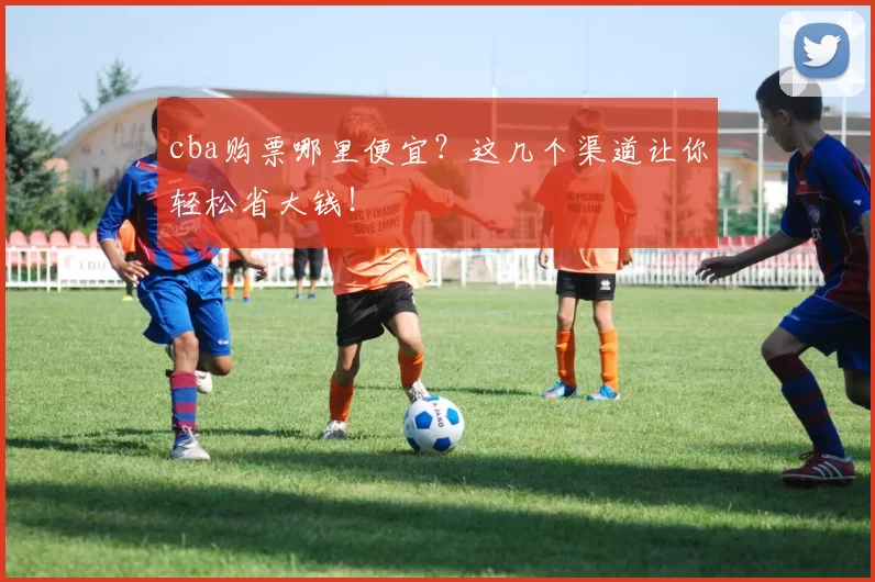 cba购票哪里便宜？这几个渠道让你轻松省大钱！