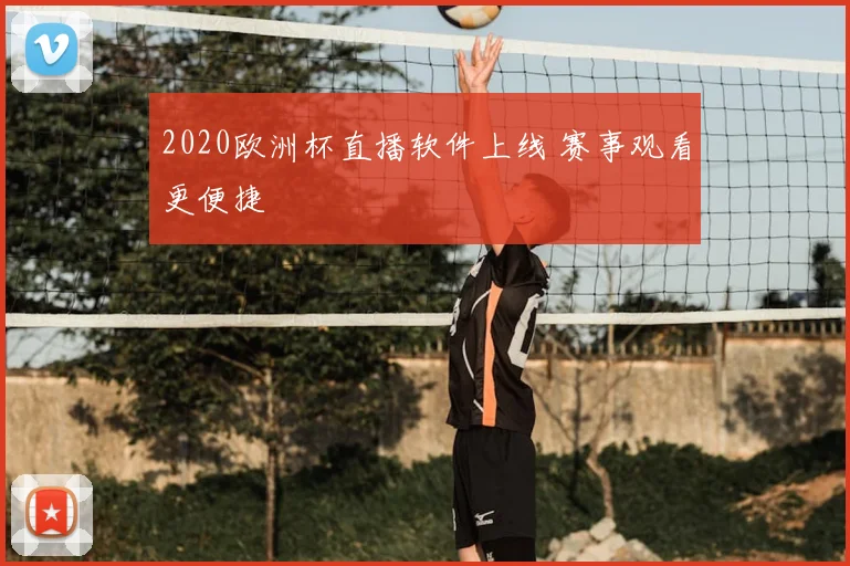 2020欧洲杯直播软件上线 赛事观看更便捷