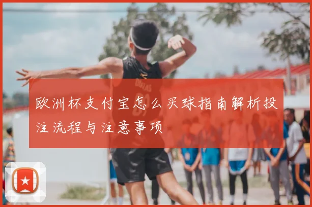 欧洲杯支付宝怎么买球指南解析投注流程与注意事项