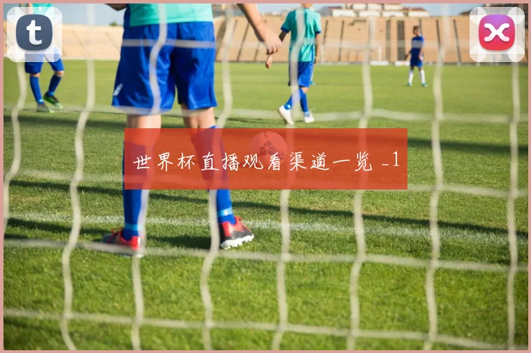 世界杯直播观看渠道一览 _1