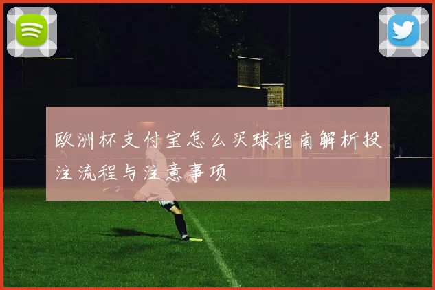 欧洲杯支付宝怎么买球指南解析投注流程与注意事项